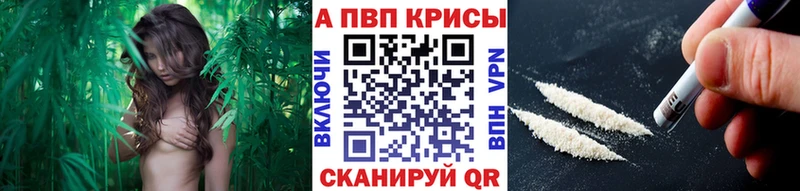 Купить закладки  Валдай  APVP VHQ 