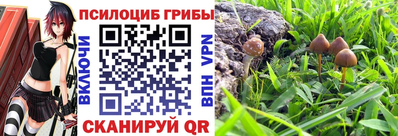 Купить где  Валдай  Псилоцибиновые грибы мухоморы 